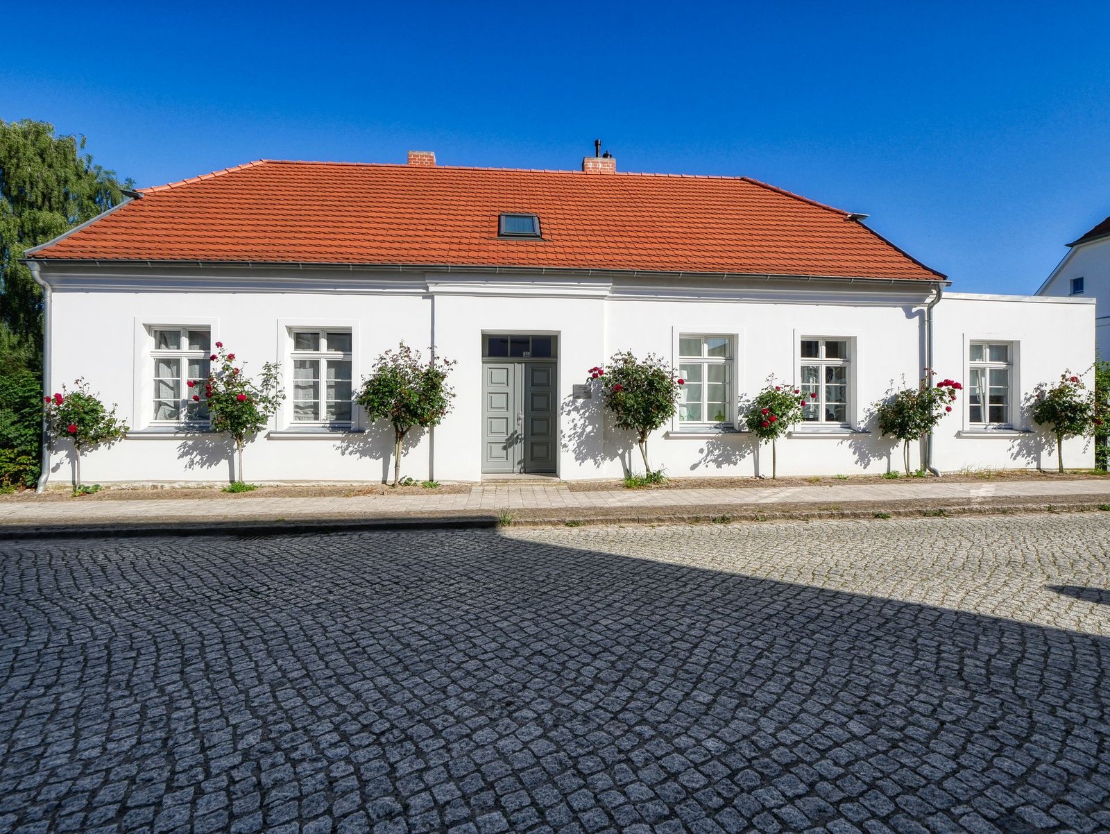 White single-storey house with a red tiled roof, a grey front door and standard roses along the facade, cobblestones in shadow in front, deep blue sky.